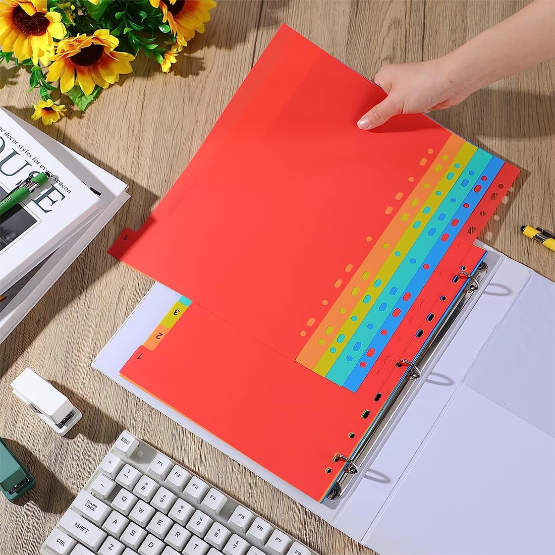 SJBAUTYO Divisori Raccoglitori Anelli A4 20 Pezzi Plastica Colorati