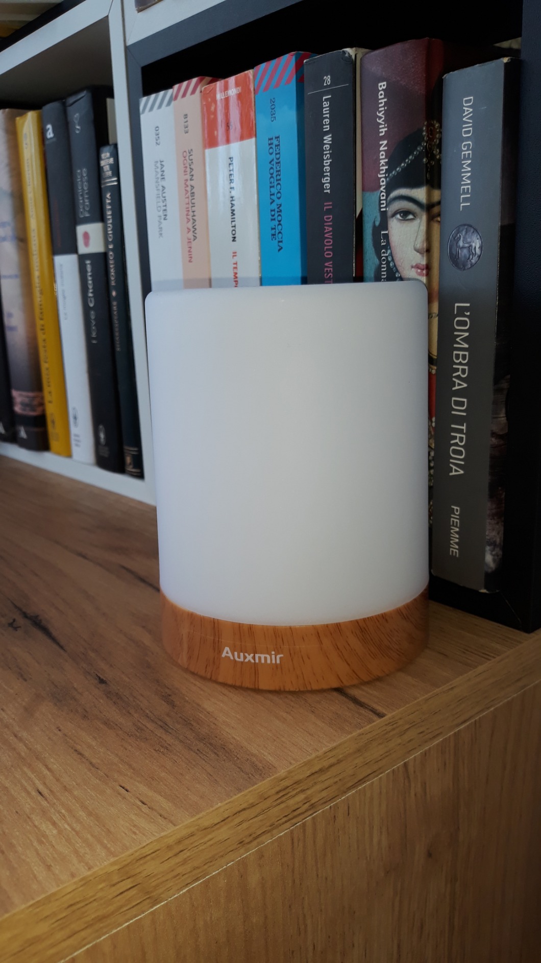Auxmir Lampada Comodino LED luce notturna marrone ricaricabile