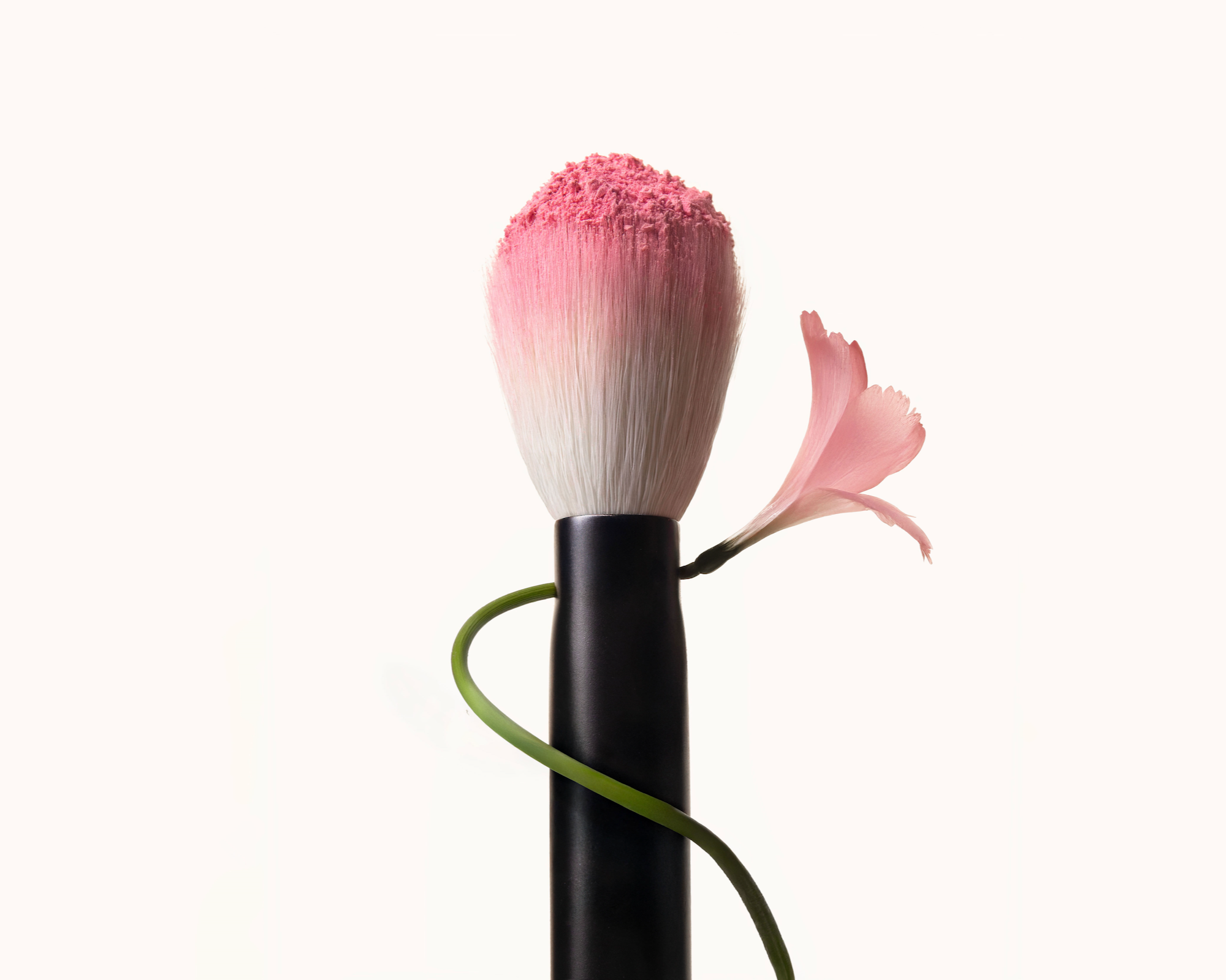 Rephr 05 Pennello Guance Blush Cipria Morbido