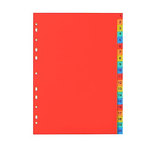 SJBAUTYO Divisori Raccoglitori Anelli A4 20 Pezzi Plastica Colorati