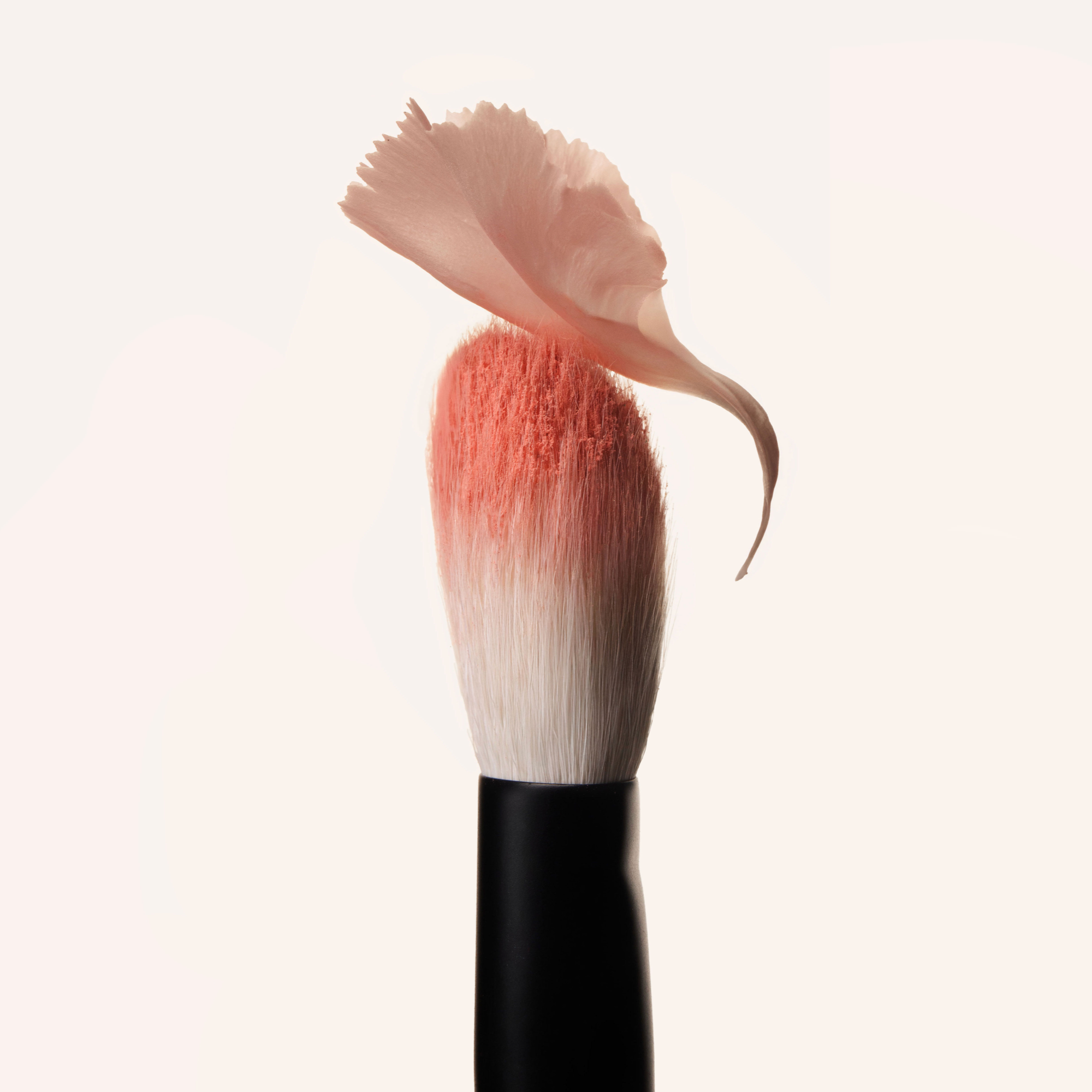 Rephr Brush 38 pennello viso precisione guance