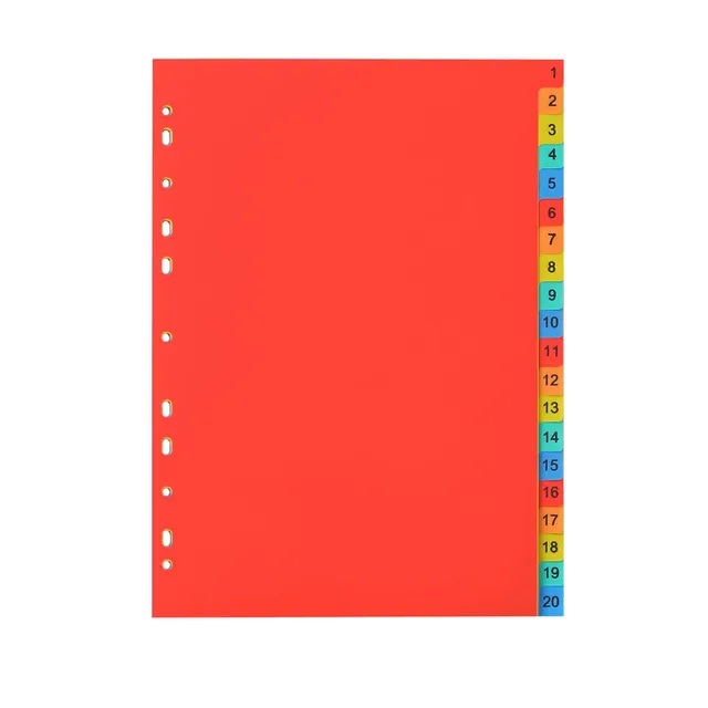SJBAUTYO Divisori Raccoglitori Anelli A4 20 Pezzi Plastica Colorati