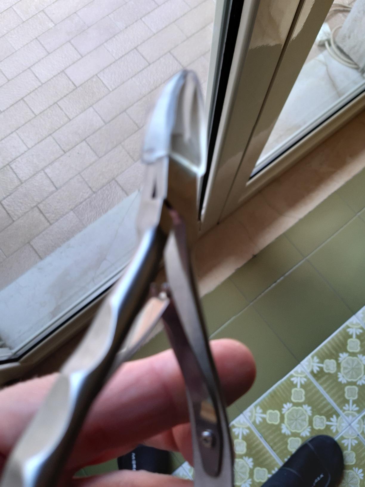 Auxmir Tronchesino Unghie Professionale tagliaunghie argento acciaio inox