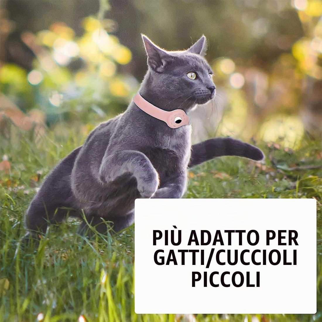 SJBAUTYO Collare Gatto Silicone AirTag 35 cm Antistrozzo